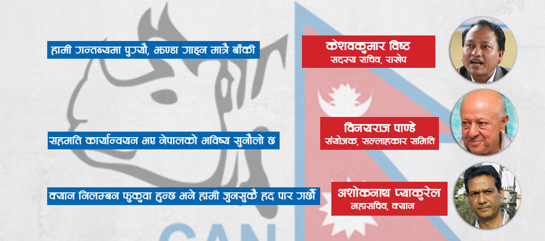नेपाल क्रिकेट संघको विवाद अब समाधान होला ?