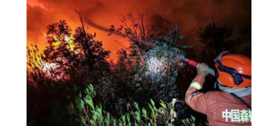 चीनको जंगलमा लागेको आगो निभाउने क्रममा १८ अग्‍निनियन्त्रकको मृत्यु 