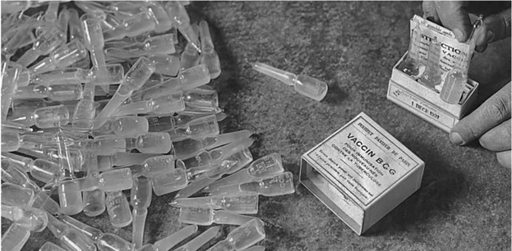 १९२१ मा बनेको बीसीजी खोप कोभिड उपचारमा परीक्षण गरिँदै 