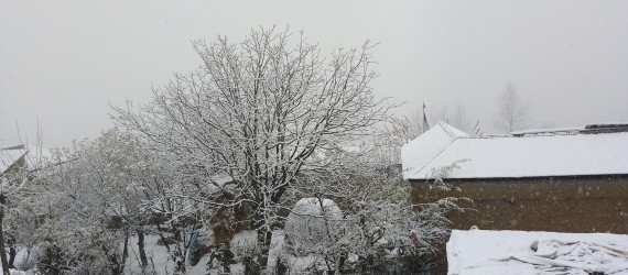 माथिल्लो मुगुम र रारा क्षेत्रमा हिमपात