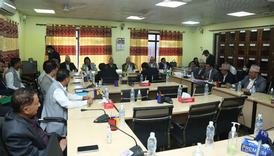 संसदीय सुनुवाइ समितिको पहिलो बैठक : सभामुख र अध्यक्षले गरे सम्बोधन