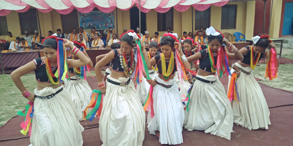 कञ्चनपुरको शुक्लाफाँटा नगरपालिका–८ बेलडाँडीमा परम्परागत पहिरनमा सजिएका थारु महिलाहरु सखिया नृत्य गर्दै । तस्बिरः रासस