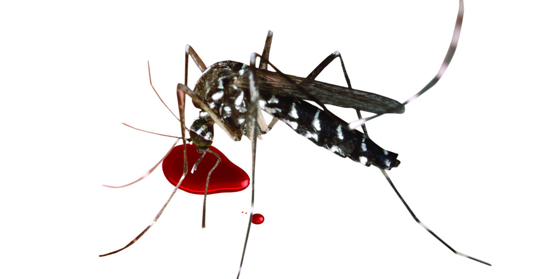 डेंगु रोगले देशभर आतंक सिर्जना गरेको हुँदा राष्ट्रिय संकट घोषणा गर्न माग