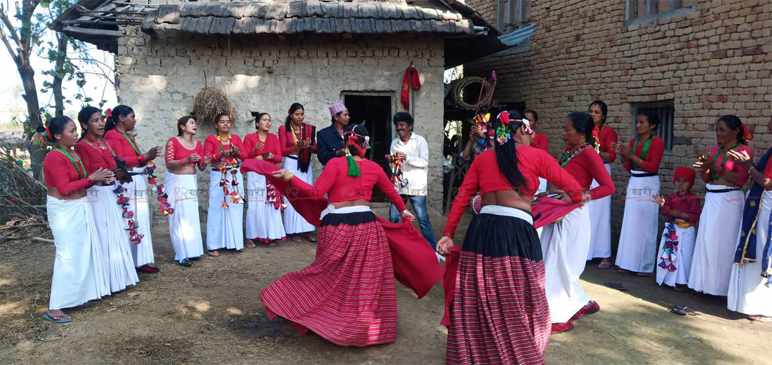 दाङको घोराही ९, अस्परीमा माघीका अवसरमा नृत्य प्रस्तुत गर्दै थारू समुदाय । तस्बिर : बिसन क्षेत्री