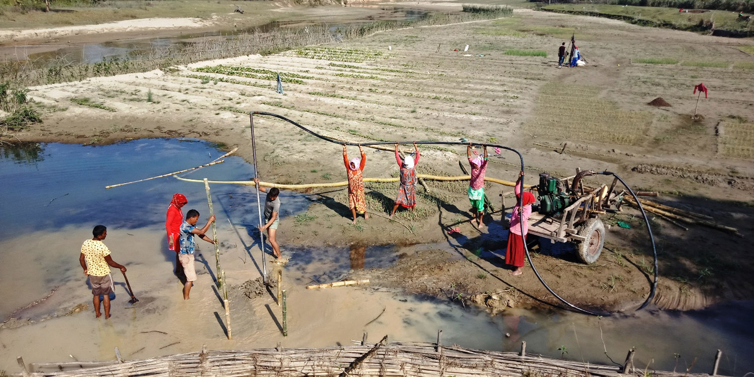 कञ्चनपुरको स्याली नदीमा बाँसको जैविक तटबन्ध निर्माणका लागि श्रमदान गर्दै स्थानीय । तस्बिरः राजेन्द्रप्रसाद पनेरु, रासस
