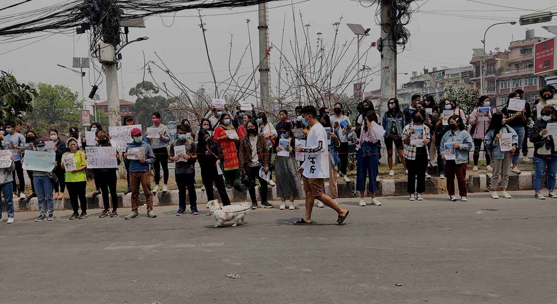 धुलिखेलमा कुकुरको हत्या गरेको भन्दै काठमाडौंको माइतीघरमा आफ्नो कुकुरसहित विरोध प्रदर्शनमा सहभागी प्रदर्शनकारी । तस्बिर : सुनील प्रधान/बाह्रखरी ।