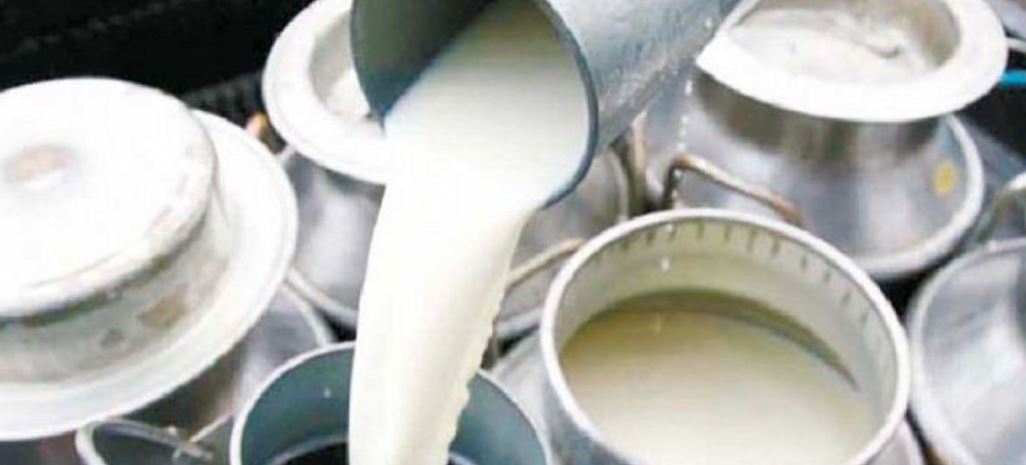 किसानले पाएनन् दूधको २२ करोड भुक्तानी